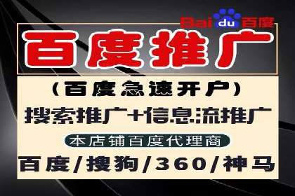 百度竞价广告投放策略：案例分析及效果评估